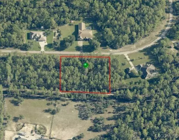 4169 N Hatchet CIR, Beverly Hills, FL 34465