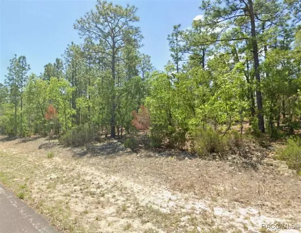 4151 N Hatchet CIR, Beverly Hills, FL 34465