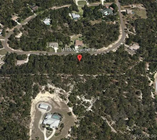 4169 N Hatchet CIR, Beverly Hills, FL 34465