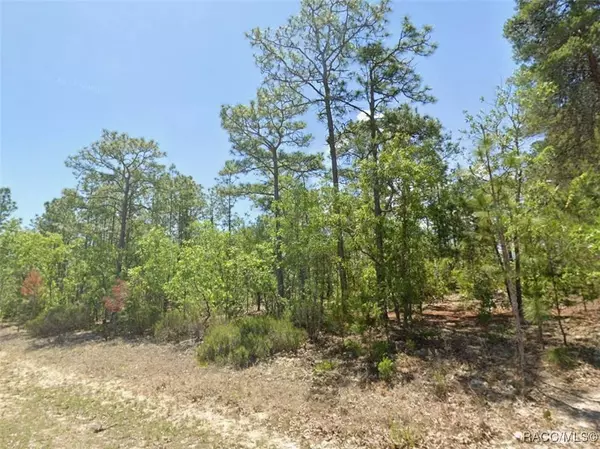 4169 N Hatchet CIR, Beverly Hills, FL 34465