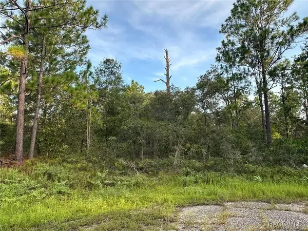 6932 N Steward PT, Dunnellon, FL 34434