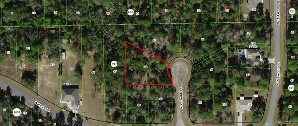 6932 N Steward PT, Dunnellon, FL 34434