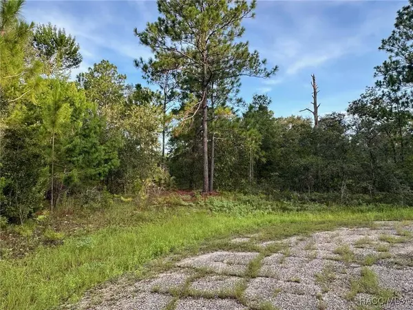 6932 N Steward PT, Dunnellon, FL 34434