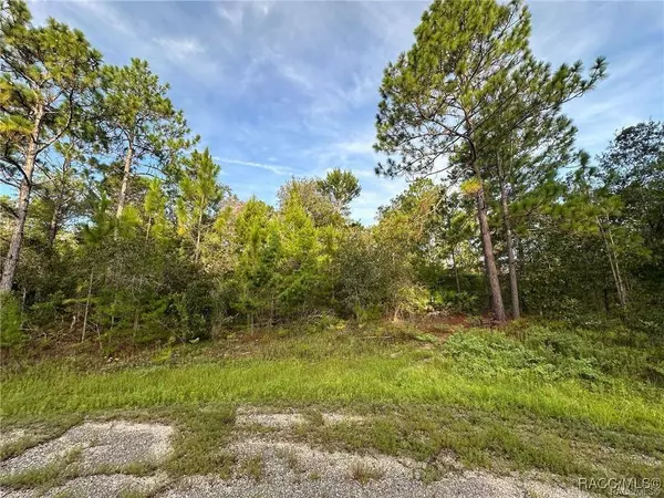 6932 N Steward PT, Dunnellon, FL 34434