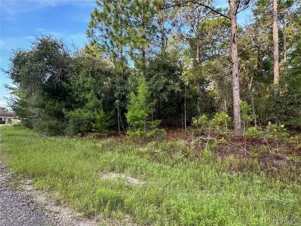 6932 N Steward PT, Dunnellon, FL 34434