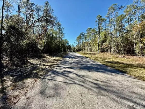 1926 W Rolling PL, Citrus Springs, FL 34434