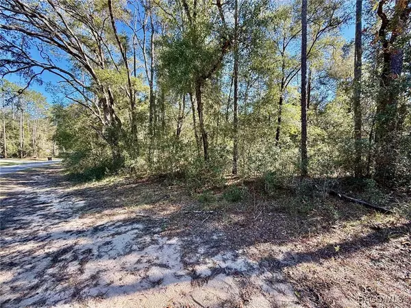 1926 W Rolling PL, Citrus Springs, FL 34434