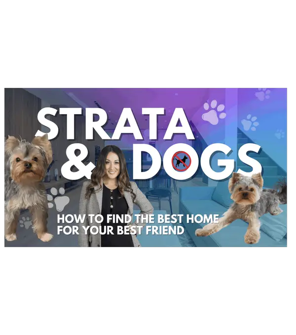 feature image of Buying a Condo With a Dog in Vancouver: 3 Steps Every Pet Owner Should Know