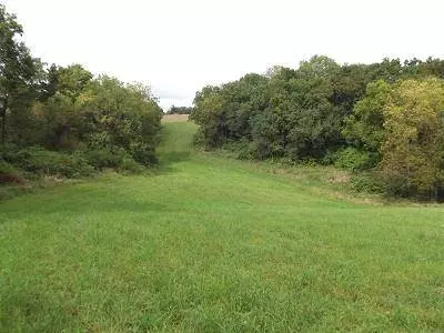 135+/- Acres Sand Hill Road, Boscobel, WI 53805