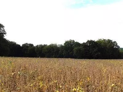 17+/- Acres Sand Hill Road, Boscobel, WI 53805