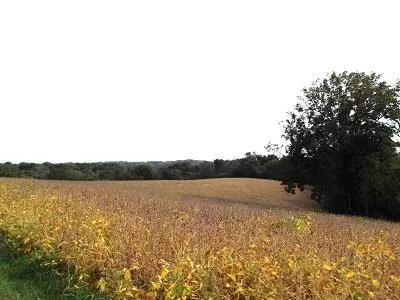 135+/- Acres Sand Hill Road, Boscobel, WI 53805