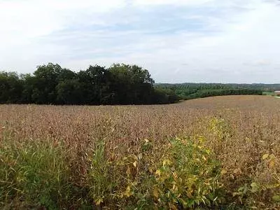 17+/- Acres Sand Hill Road, Boscobel, WI 53805