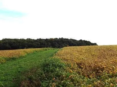 28+/- Acres Sand Hill Road, Boscobel, WI 53805