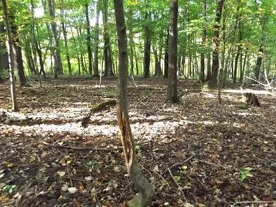 28+/- Acres Sand Hill Road, Boscobel, WI 53805