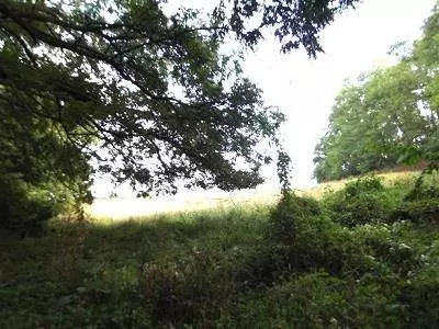 17+/- Acres Sand Hill Road, Boscobel, WI 53805