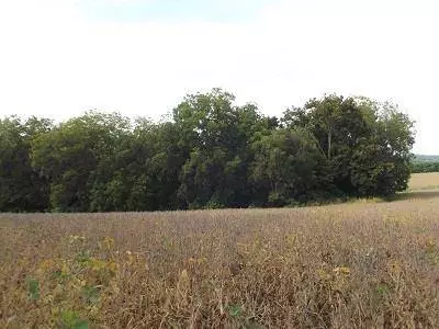 17+/- Acres Sand Hill Road, Boscobel, WI 53805