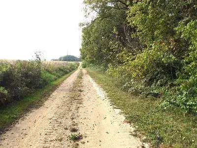 28+/- Acres Sand Hill Road, Boscobel, WI 53805