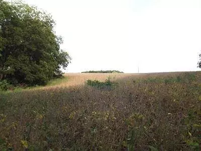 17+/- Acres Sand Hill Road, Boscobel, WI 53805