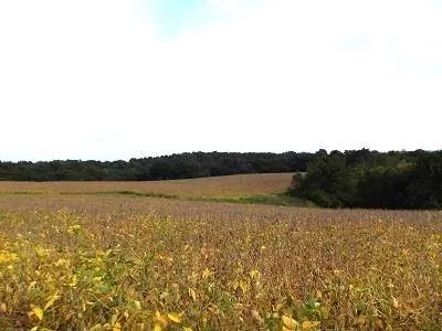 135+/- Acres Sand Hill Road, Boscobel, WI 53805