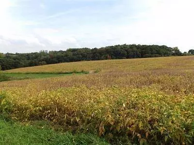 28+/- Acres Sand Hill Road, Boscobel, WI 53805