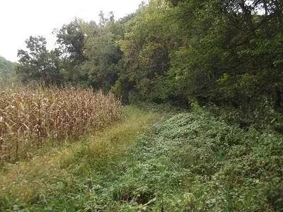 135+/- Acres Sand Hill Road, Boscobel, WI 53805