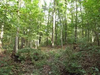 28+/- Acres Sand Hill Road, Boscobel, WI 53805