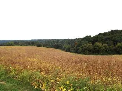 28+/- Acres Sand Hill Road, Boscobel, WI 53805