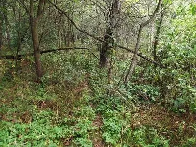 135+/- Acres Sand Hill Road, Boscobel, WI 53805