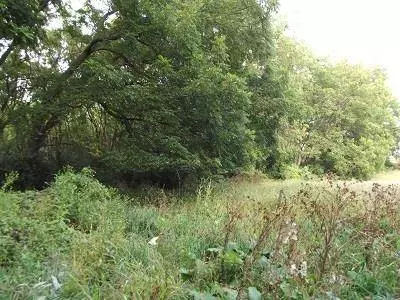 17+/- Acres Sand Hill Road, Boscobel, WI 53805