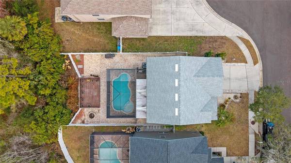 12507 BAY BRANCH CT, Tampa, FL 33635