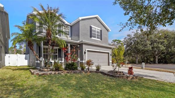 12507 BAY BRANCH CT, Tampa, FL 33635