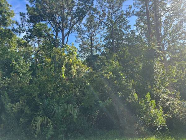 39 RIVERA LN, Palm Coast, FL 32164