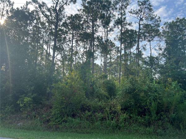85 WHITTINGTON DR, Palm Coast, FL 32164