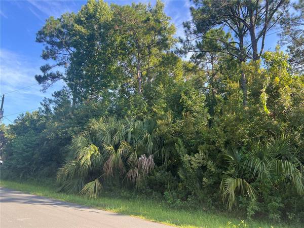 39 RIVERA LN, Palm Coast, FL 32164