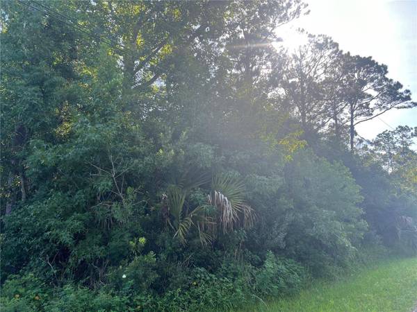 39 RIVERA LN, Palm Coast, FL 32164