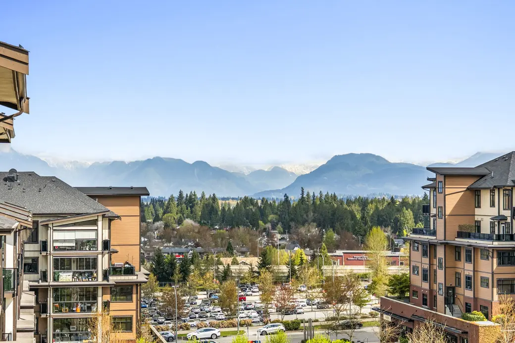 Langley Market Shift: Local Insights | Royal LePage