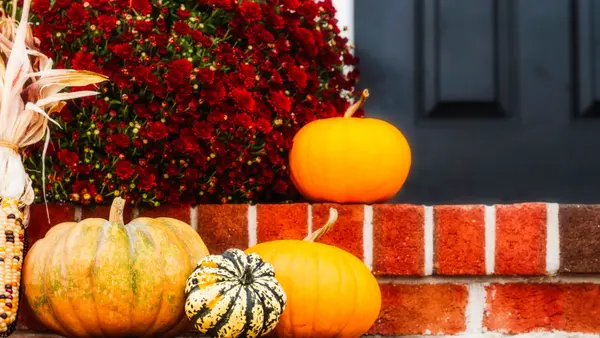 7 Tips for Canadian Homeowners for Maximum Autumn Curb Appeal,Sunny Pamma