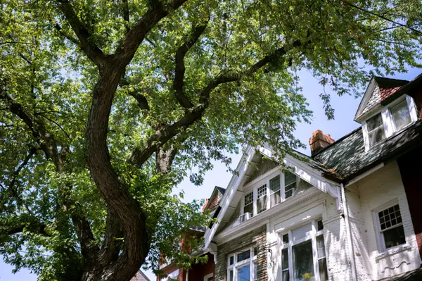 Selling Your Home in Summer in Langley, British Columbia: What Today’s Buyers Are Looking For,Sunny Pamma