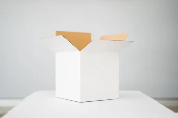  How to Make Your Move As Simple As Possible,Sunny Pamma