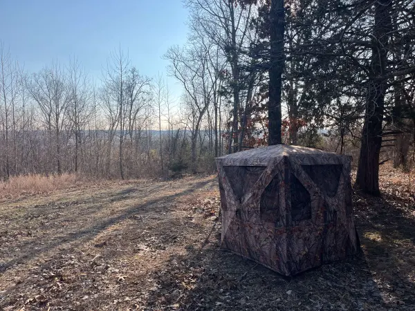 31797 State Highway 76, Norwood, MO 65717