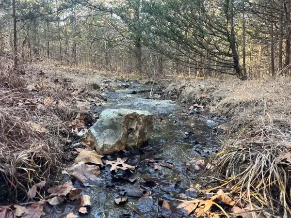 31797 State Highway 76, Norwood, MO 65717