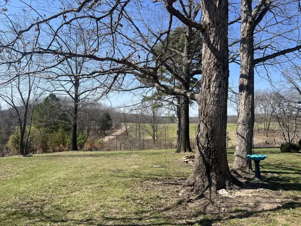 000 Rural Route 1 Box 565, Mountain Grove, MO 65711