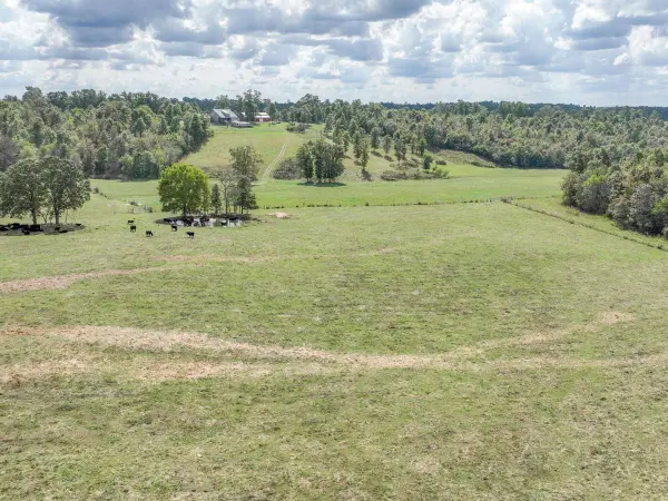4083 State Route W, West Plains, MO 65775