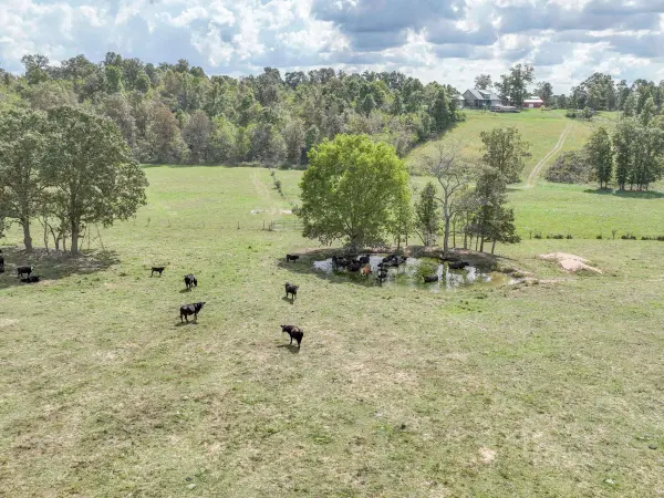 4083 State Route W, West Plains, MO 65775