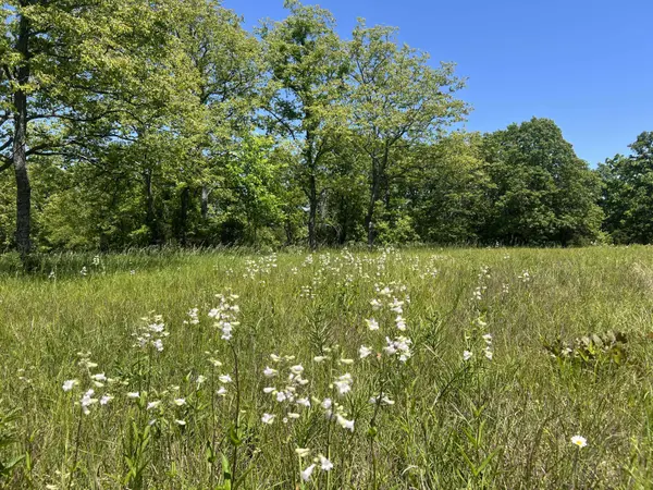 000 Greentree RD, Mountain Grove, MO 65711