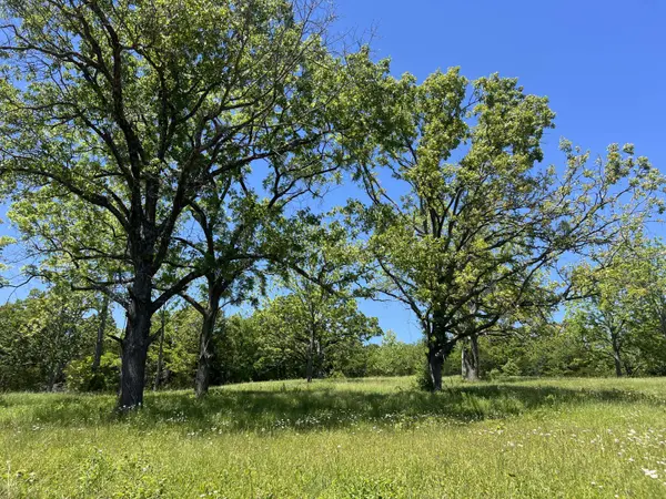 000 Greentree RD, Mountain Grove, MO 65711