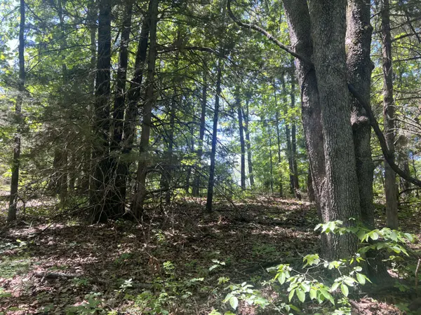 000 Greentree RD, Mountain Grove, MO 65711