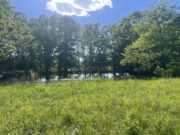 000 Greentree RD, Mountain Grove, MO 65711