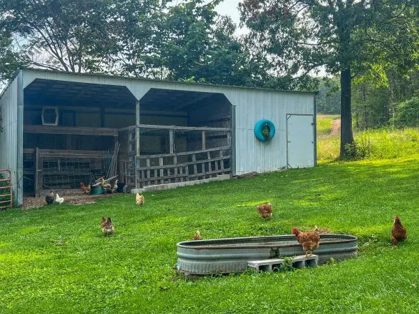 000 Rural Route 1 Box 565, Mountain Grove, MO 65711