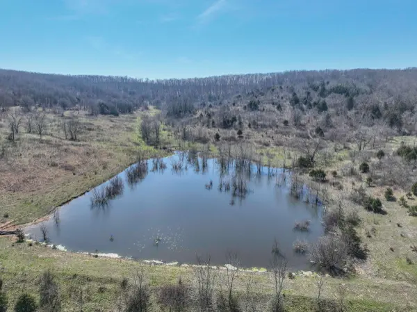 23605 County Road U112 Norwwod, Mo,